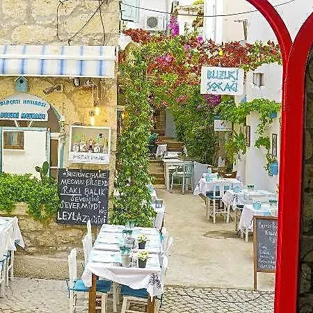 Mara Koeyici Bed & Breakfast